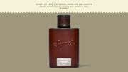 Midnight Birch Cologne - Bright Daily Signature