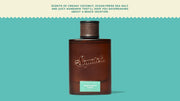 Castaway Cove Cologne - Warm Daily Blend