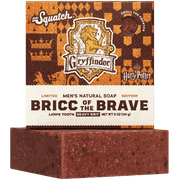 Bricc of the Brave - Active Daily Routine