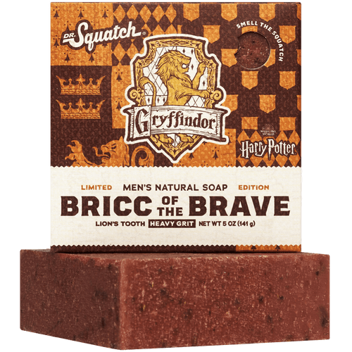 Bricc of the Brave - Active Daily Routine
