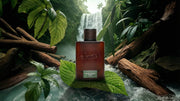 Rainforest Mist Cologne - Daily Evening Finish