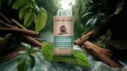 Rainforest Rapids Deodorant - Outdoor Fresh Glide