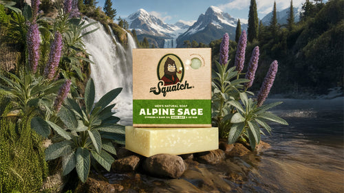 Alpine Sage - Fresh Daily Start