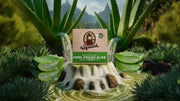 Cool Fresh Aloe - Premium Daily Bar
