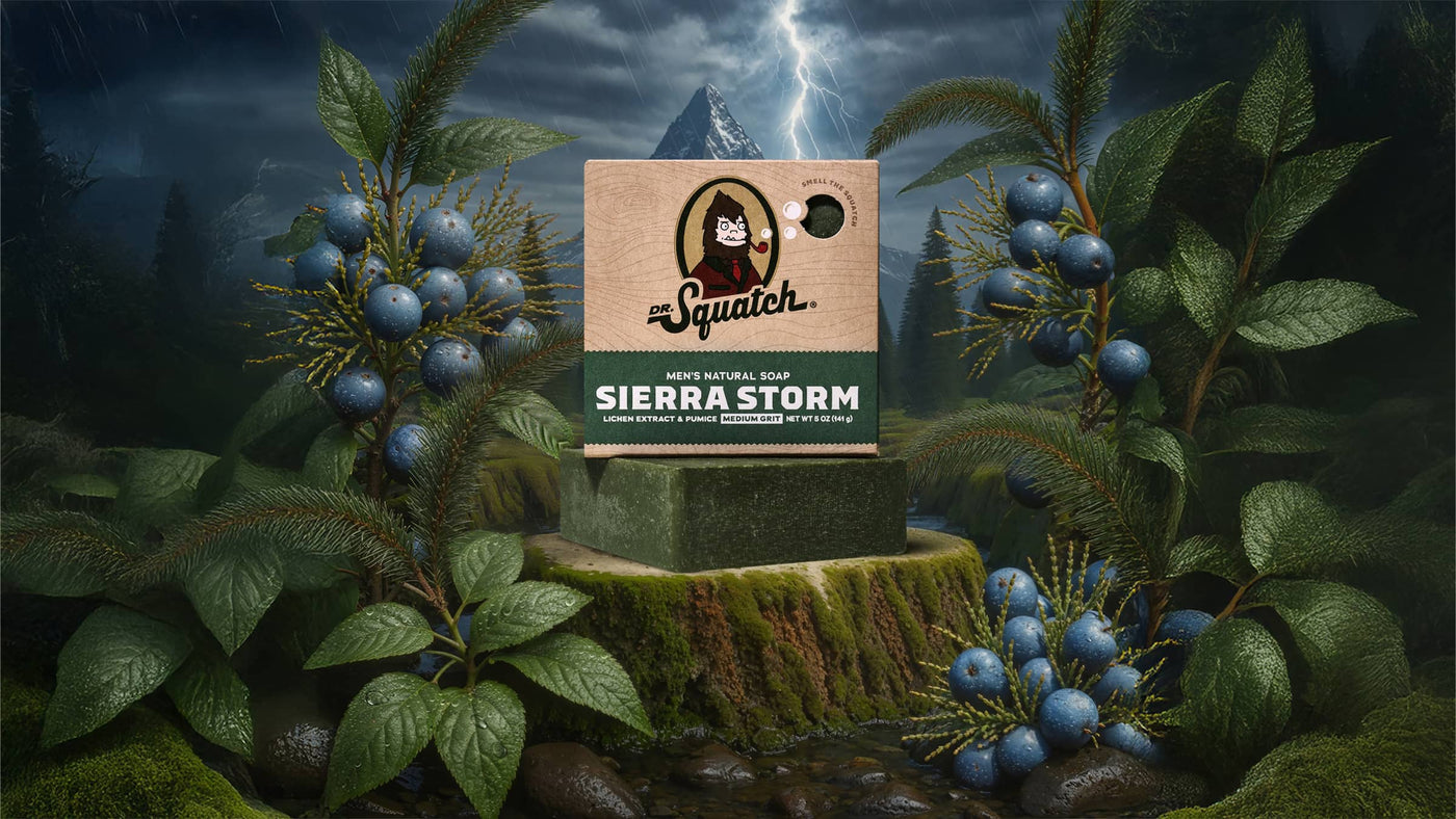 Sierra Storm - Fresh Routine