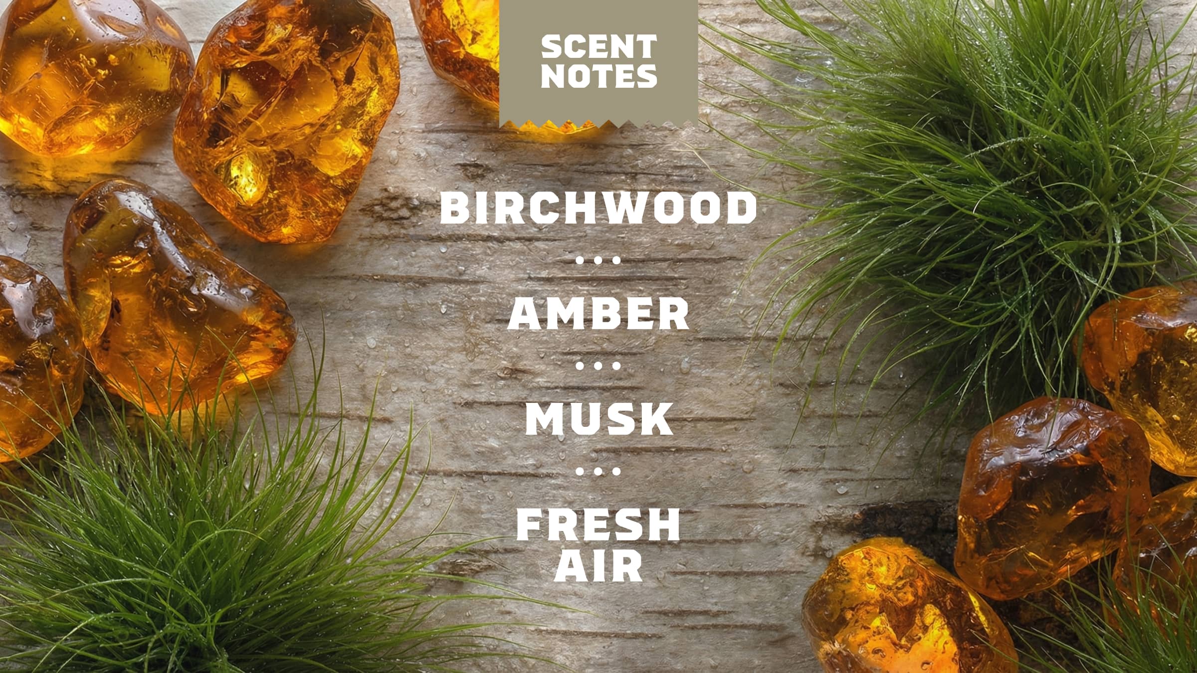 14 oz Birchwood Breeze Body Wash - Modern Morning Lather