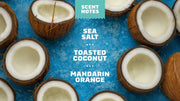 Coconut Castaway Deodorant - Modern Active Glide