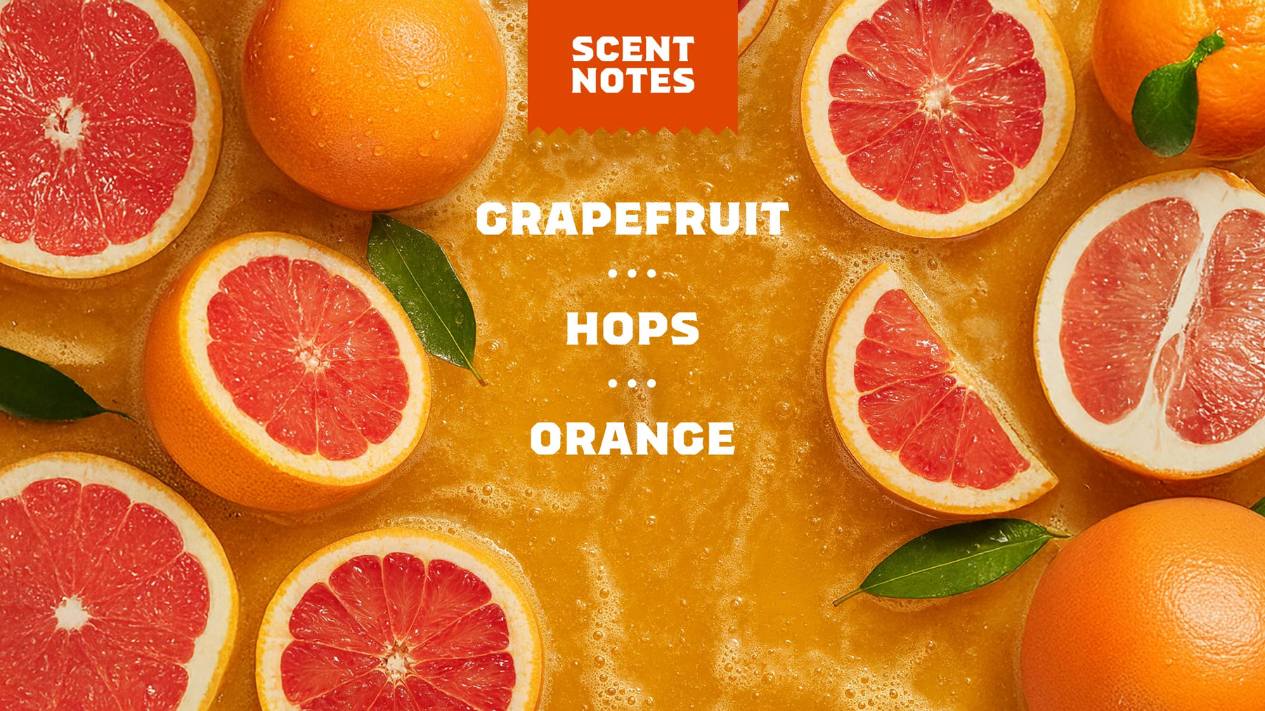 Grapefruit IPA - Easy Morning Routine