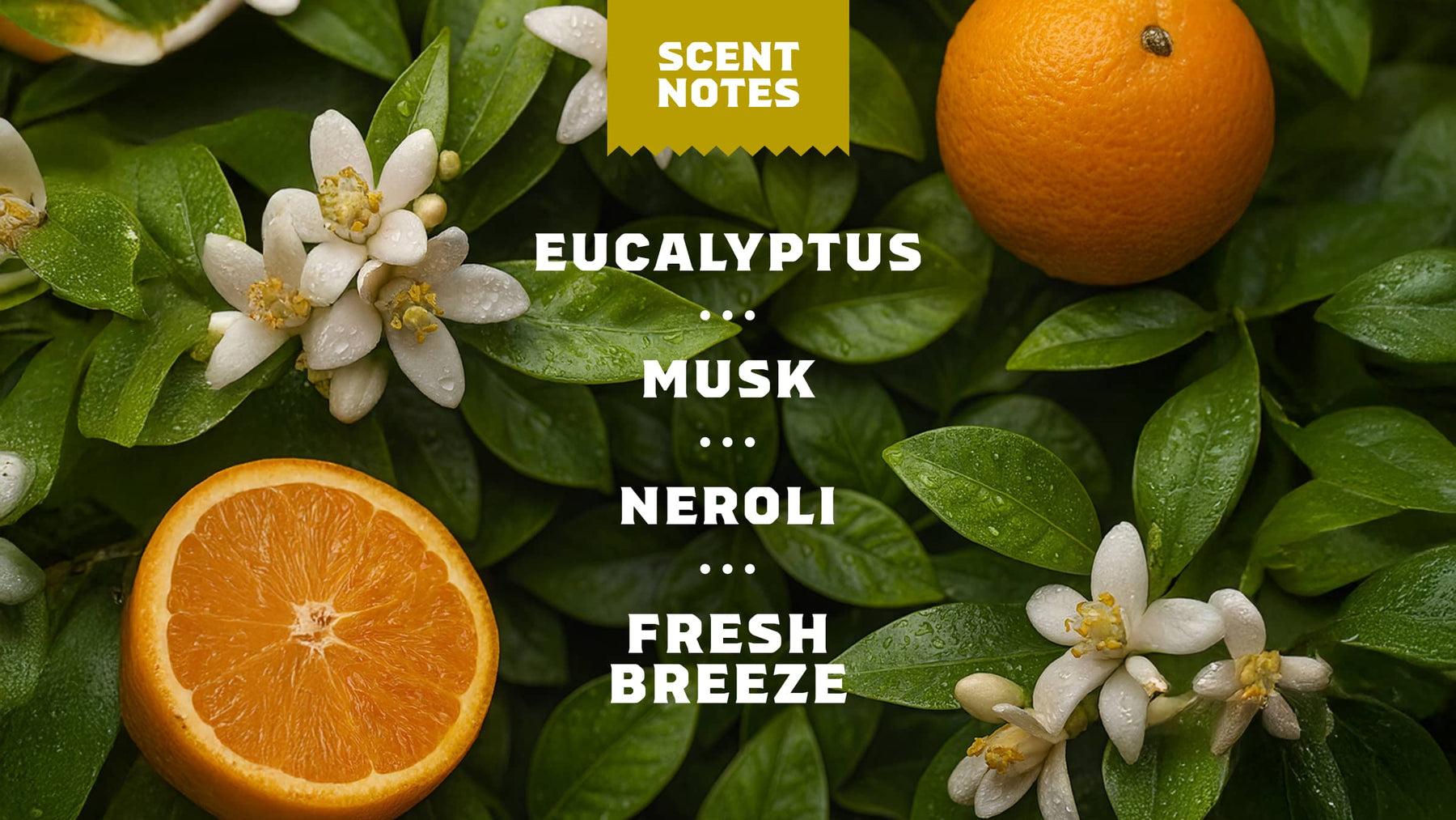 Mountain Meadow - Easy Fresh Wash