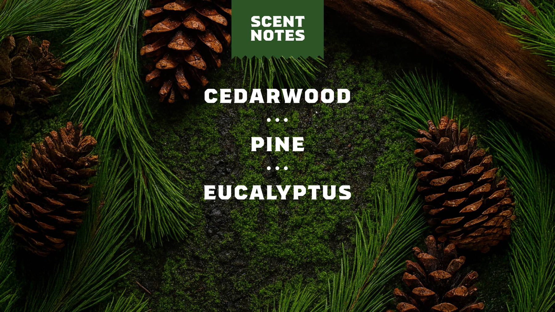 Pine Tar Spray Deodorant - Essential Daily Shield