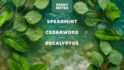 Rainforest Rapids Precision Deo - Bright Daily Fresh