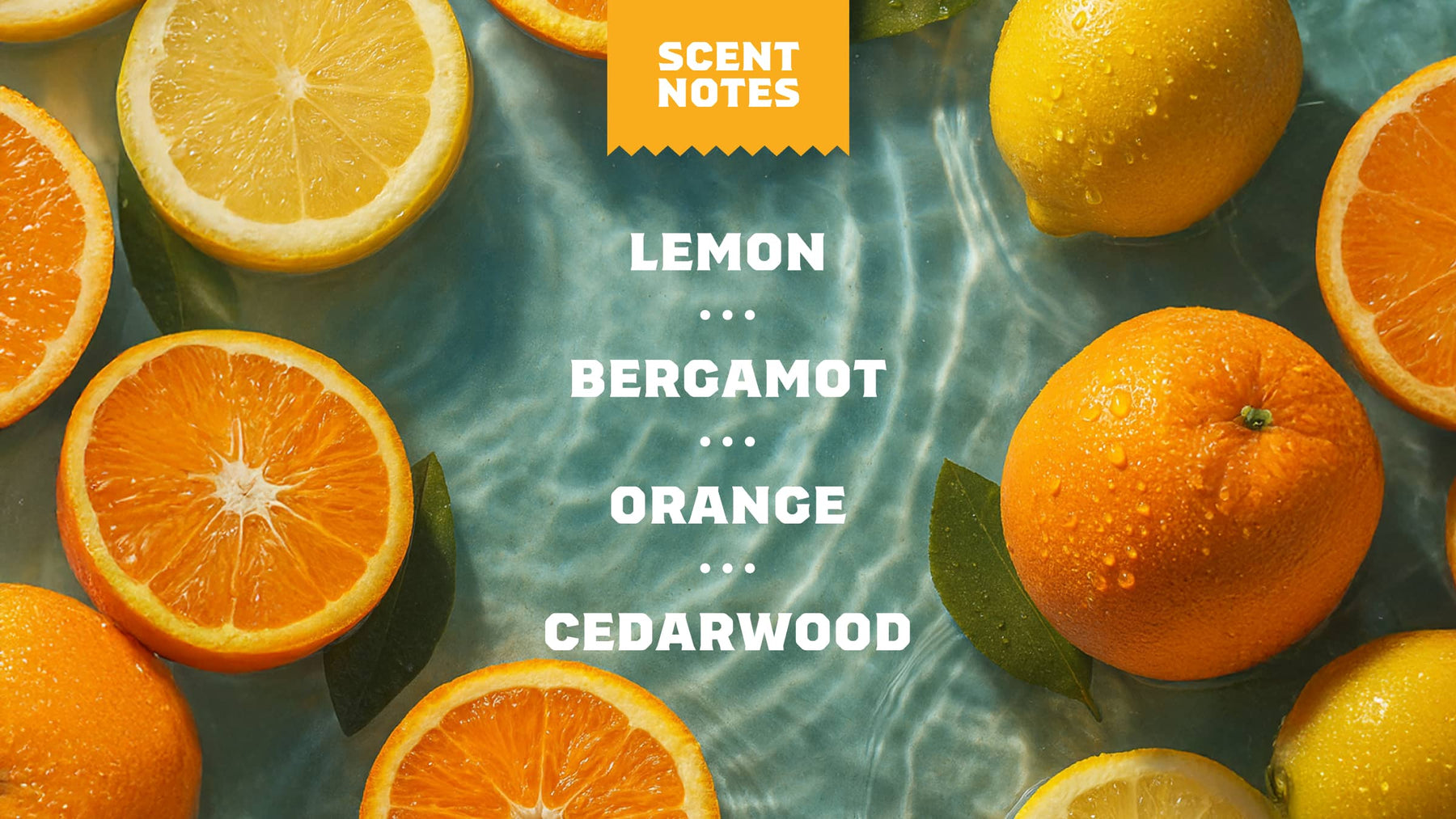 14 oz Summer Citrus Body Wash - Outdoor Bar