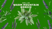 Alpine Sage - Fresh Daily Start