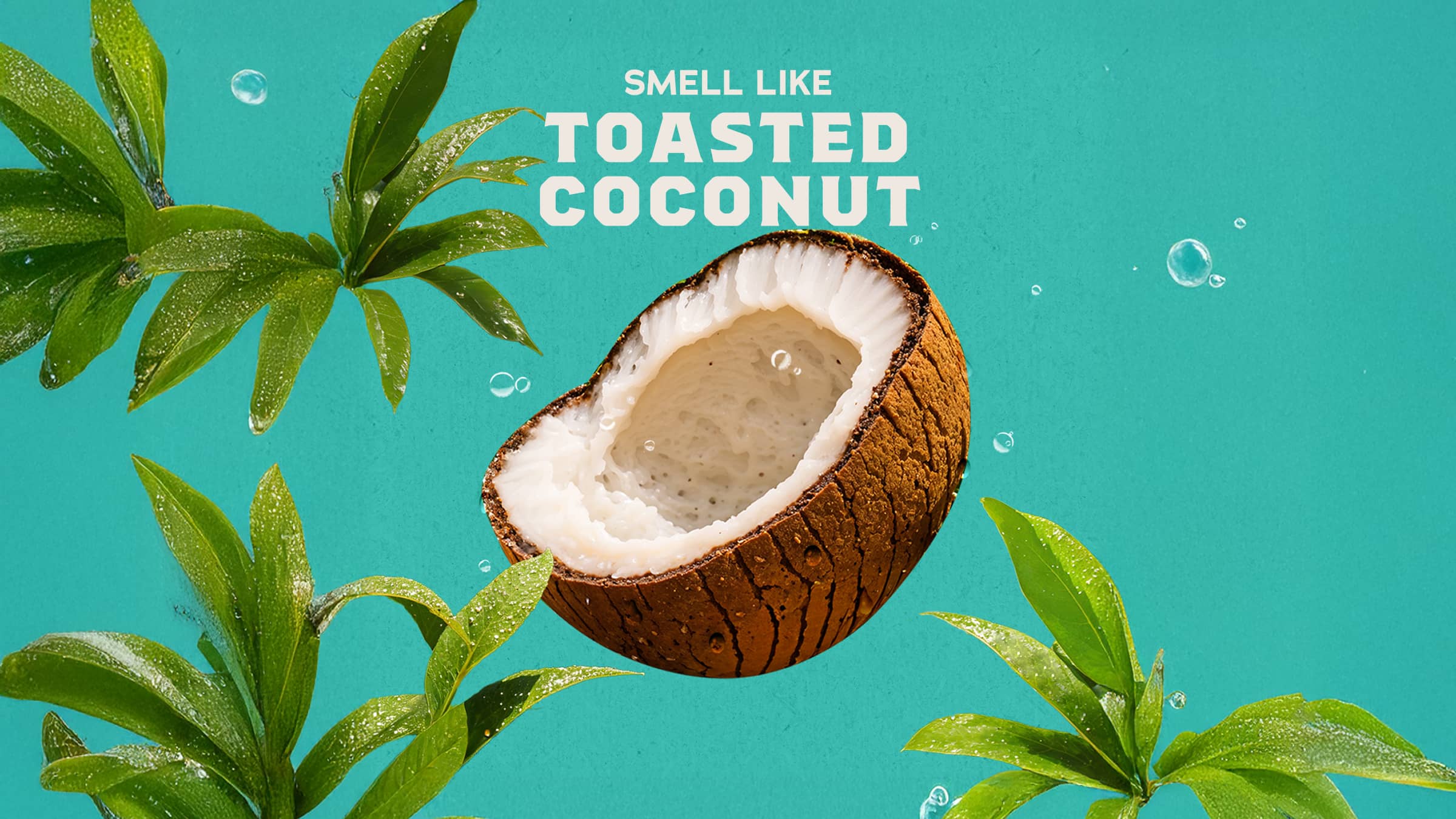 14 oz Coconut Castaway Body Wash - Modern Fresh Clean