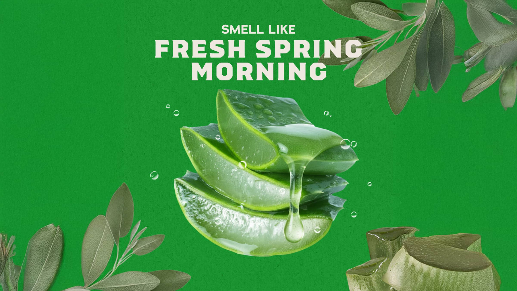 Cool Fresh Aloe Shampoo - Bright Smooth Start