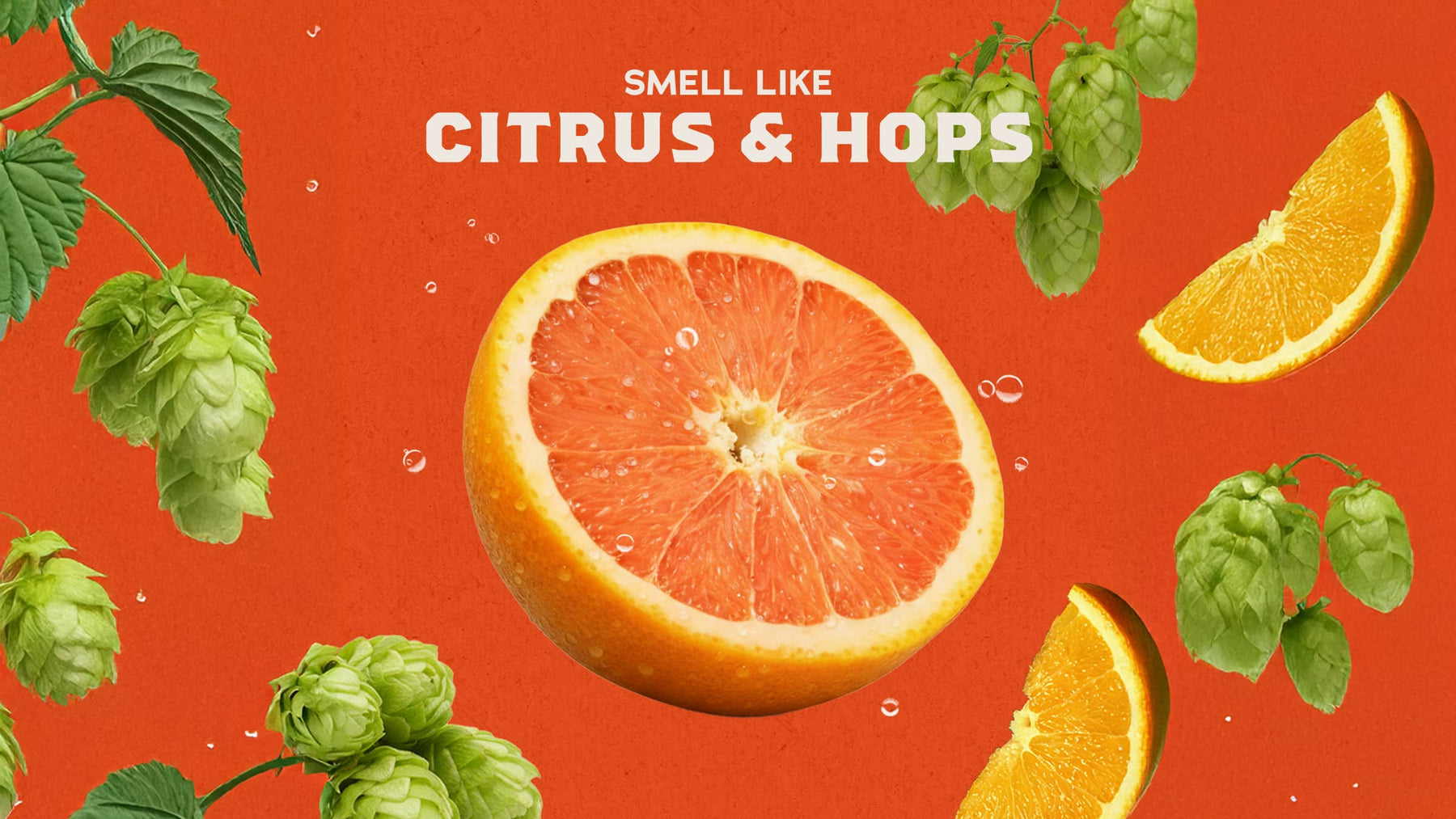 Grapefruit IPA - Easy Morning Routine