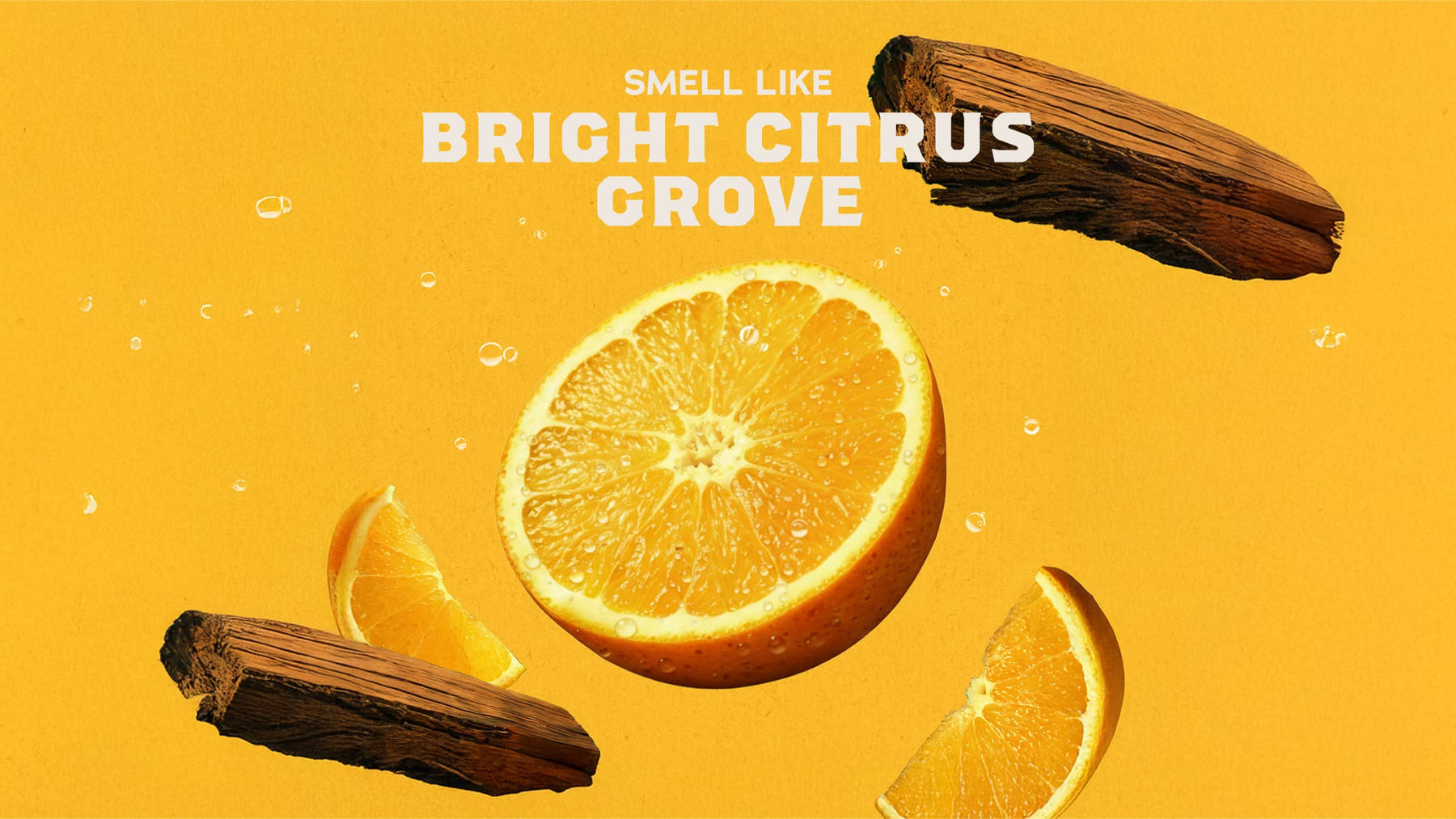 14 oz Summer Citrus Body Wash - Outdoor Bar